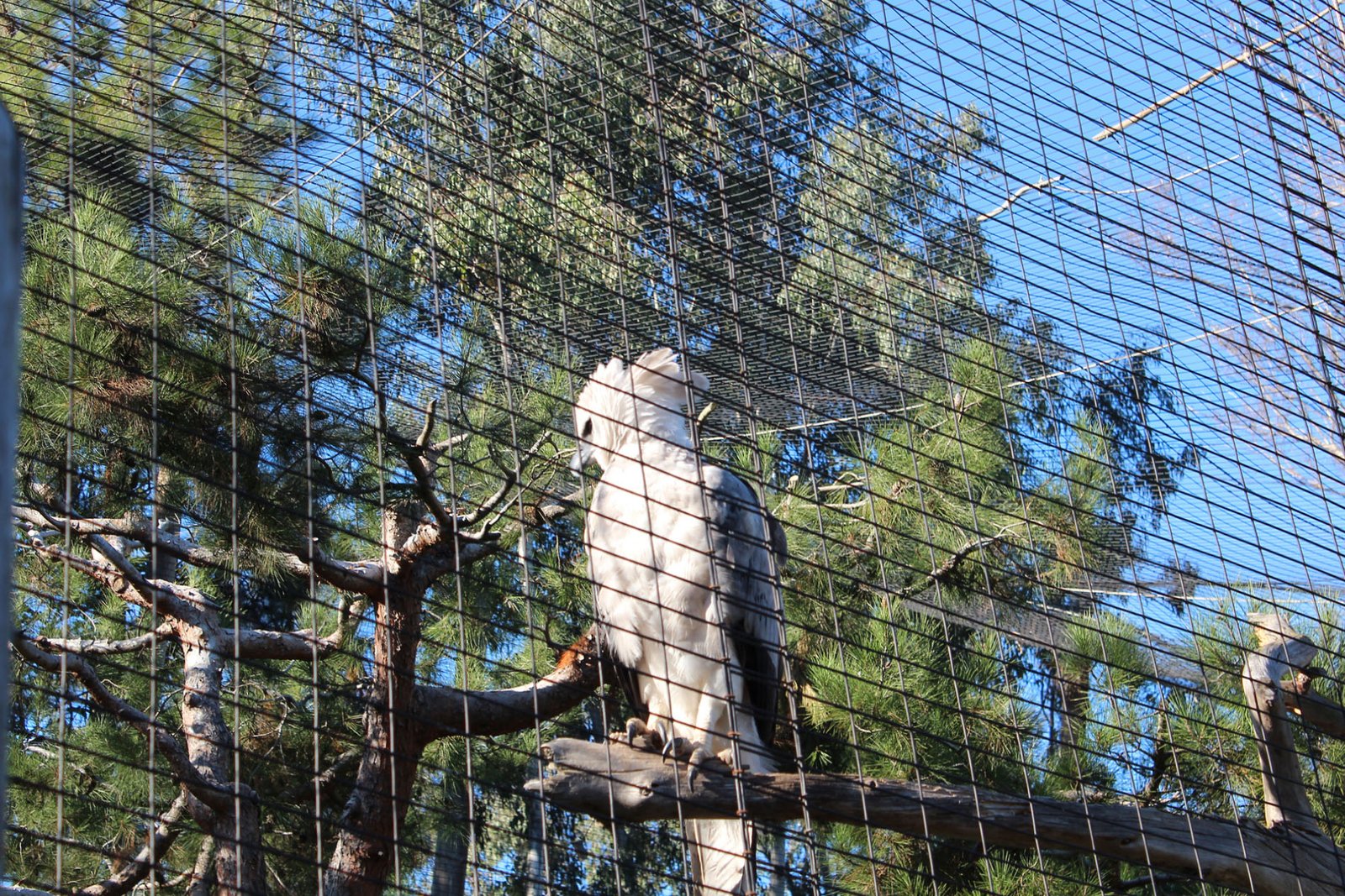 San Diego Zoo Part II 079